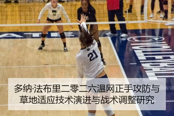 多纳·法布里二零二六温网正手攻防与草地适应技术演进与战术调整研究